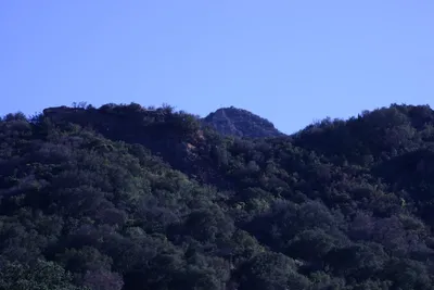 DSC_2067 (Large).JPG